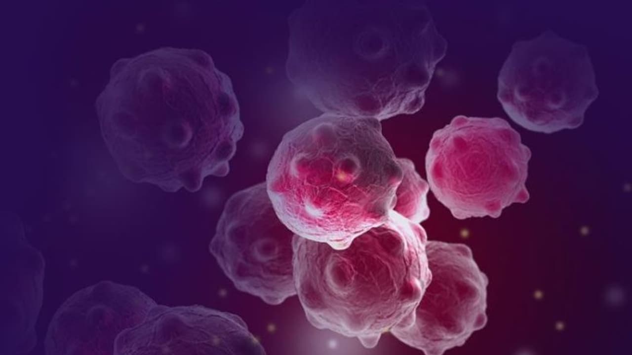 ക്യാന്സര് പാരമ്പര്യമായി വരുന്നതാണോ? ക്യാന്സര് പാരമ്പര്യമായി വരുന്നതാണോ?