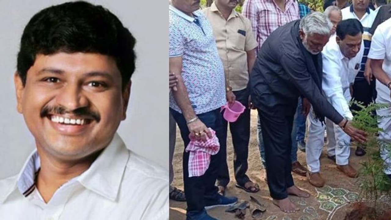 എം പി ജനങ്ങളോടാവശ്യപ്പെട്ടത് വ്യത്യസ്‍തമായ പിറന്നാള്‍ സമ്മാനം, ഇതുവരെ നട്ടത് മൂന്നുകോടിയിലേറെ ചെടികള്‍