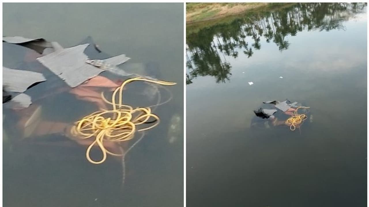 അട്ടപ്പാടിയിൽ ഫോറസ്റ്റ് ജീപ്പ് പുഴയിലേക്ക് മറിഞ്ഞ് അപകടം; ചികിത്സയിലിരുന്ന ഫോറസ്റ്റ് ഓഫീസർ മരിച്ചു അട്ടപ്പാടിയിൽ ഫോറസ്റ്റ് ജീപ്പ് പുഴയിലേക്ക് മറിഞ്ഞ് അപകടം; ചികിത്സയിലിരുന്ന ഫോറസ്റ്റ് ഓഫീസർ മരിച്ചു