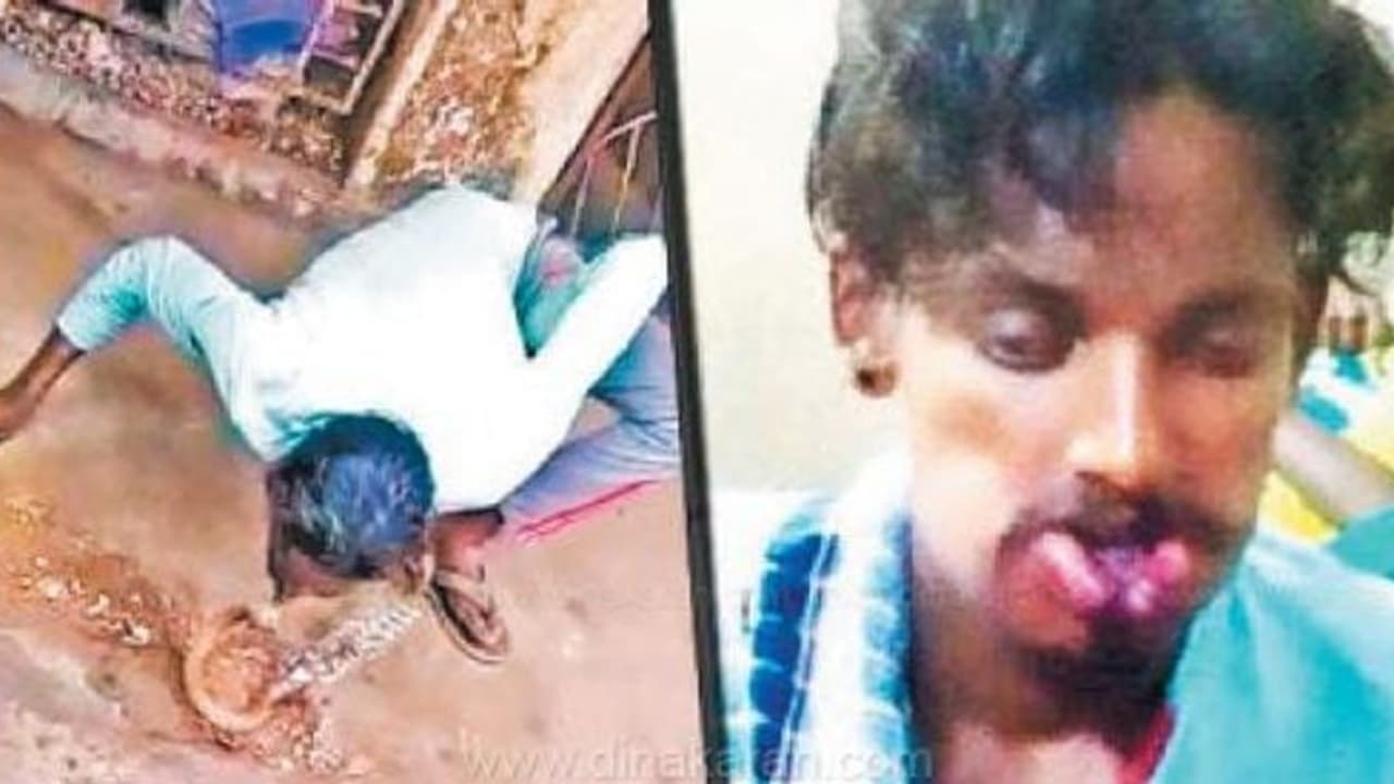 பாம்பிடம் தவறாக நடந்துகொண்ட நபர்...!! உதட்டோடு உதட்டை வைத்து முத்தம் கொடுத்த போது வெறி கொண்ட பாம்பு...!! பாம்பிடம் தவறாக நடந்துகொண்ட நபர்...!! உதட்டோடு உதட்டை வைத்து முத்தம் கொடுத்த போது வெறி கொண்ட பாம்பு...!!