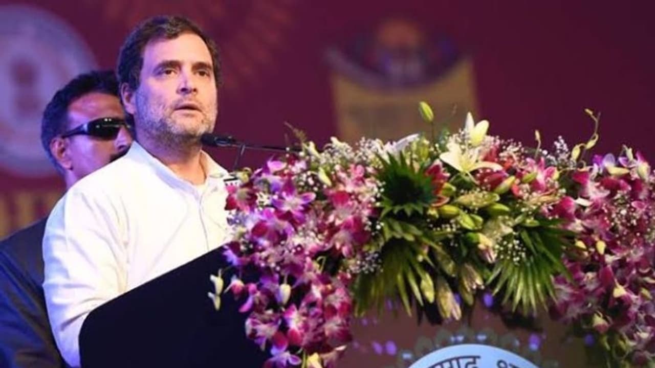 'സഹോദരങ്ങൾ തമ്മിൽ പോരടിക്കുന്നത് രാജ്യത്തിന് ഗുണം ചെയ്യില്ല'; രാഹുൽ ഗാന്ധി 'സഹോദരങ്ങൾ തമ്മിൽ പോരടിക്കുന്നത് രാജ്യത്തിന് ഗുണം ചെയ്യില്ല'; രാഹുൽ ഗാന്ധി