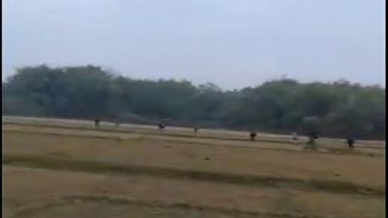 ಅಕ್ರಮ ಬಾಂಗ್ಲಾ ನುಸುಳುಕೋರರು ಭಾರತ ಪ್ರವೇಶಿಸುತ್ತಿರುವ ವಿಡಿಯೋ! ಅಕ್ರಮ ಬಾಂಗ್ಲಾ ನುಸುಳುಕೋರರು ಭಾರತ ಪ್ರವೇಶಿಸುತ್ತಿರುವ ವಿಡಿಯೋ!