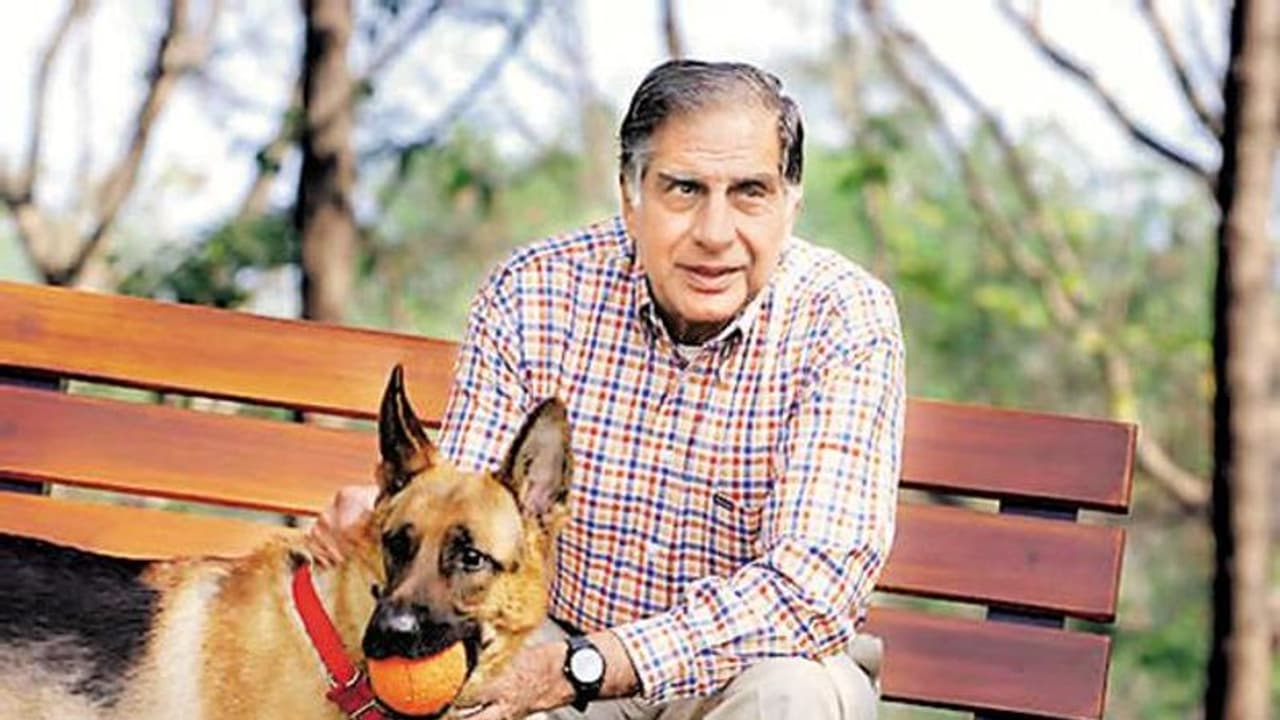 ರತನ್ ಟಾಟಾ ಮುದ್ದಿನ ನಾಯಿ ಖರ್ಚಿಗೆ ಲಕ್ಷ ಲಕ್ಷ ರೂ, ವಿಲ್‌ನಲ್ಲಿ ಹೃದಯಶ್ರೀಮಂತಿಗೆ ಮೆರೆದ ಉದ್ಯಮಿ