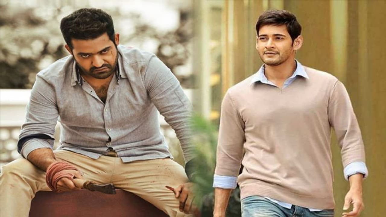 ఎన్టీఆర్ పై రూమర్స్ అవాస్తవం.. మహేష్ సినిమా అందుకే ఫ్లాప్! ఎన్టీఆర్ పై రూమర్స్ అవాస్తవం.. మహేష్ సినిమా అందుకే ఫ్లాప్!