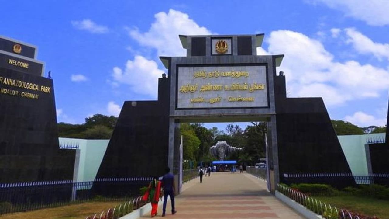 ஹாப்பி நியூஸ் !! ஆயுத பூஜையொட்டி நாளை வண்டலூர் பூங்கா திறந்திருக்கும்.. நிர்வாகம் அறிவிப்பு