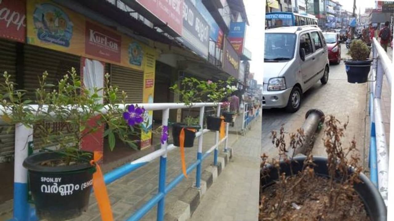 സുല്ത്താന് ബത്തേരിയിലെ ഫ്ലവർ സിറ്റി പദ്ധതി പാളി; ചെടികള് കരിഞ്ഞുണങ്ങി നശിക്കുന്നു സുല്ത്താന് ബത്തേരിയിലെ ഫ്ലവർ സിറ്റി പദ്ധതി പാളി; ചെടികള് കരിഞ്ഞുണങ്ങി നശിക്കുന്നു