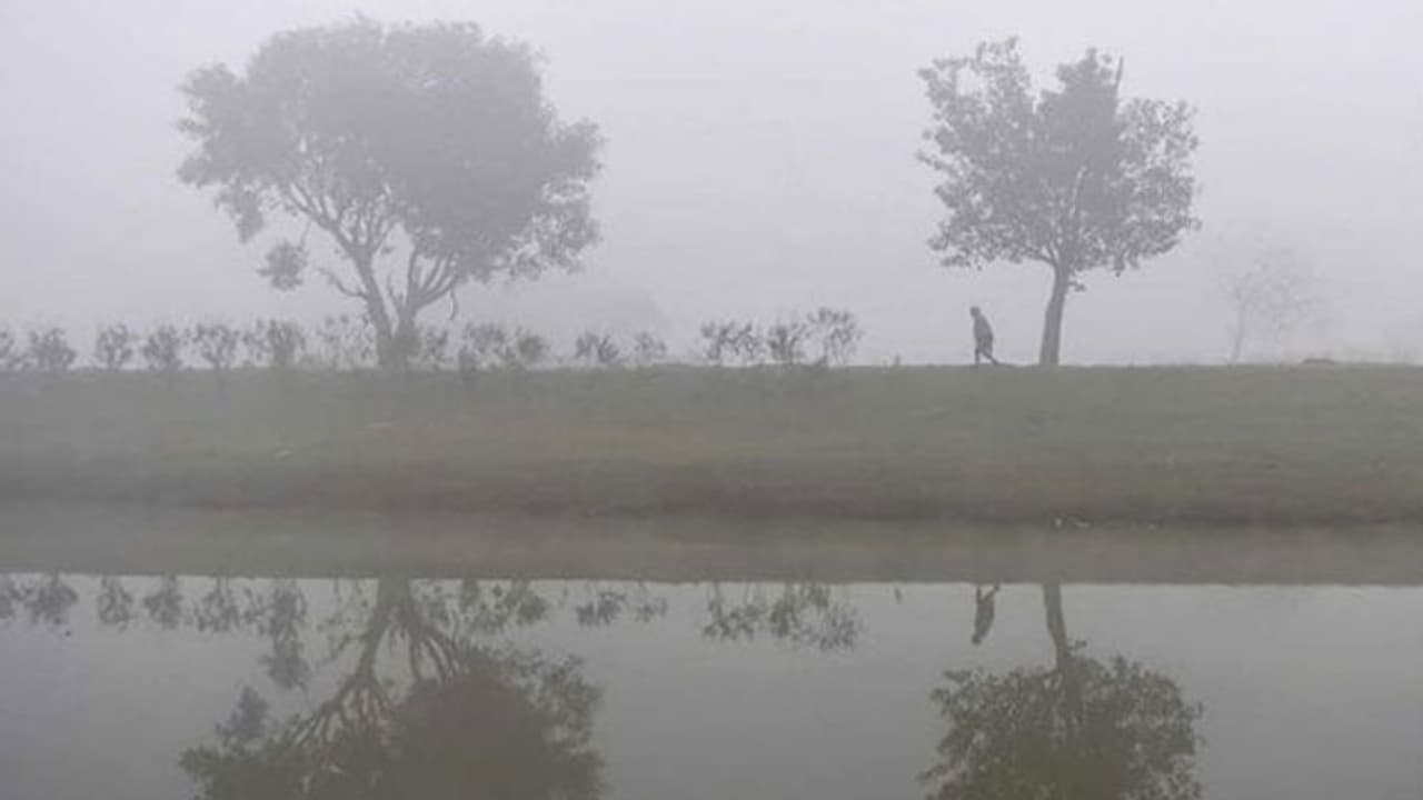 പകല്‍ പോലും അതിശൈത്യത്തില്‍ ഉറയുന്നു; ഹരിയാനയില്‍ സ്‌കൂളുകള്‍ അടച്ചു