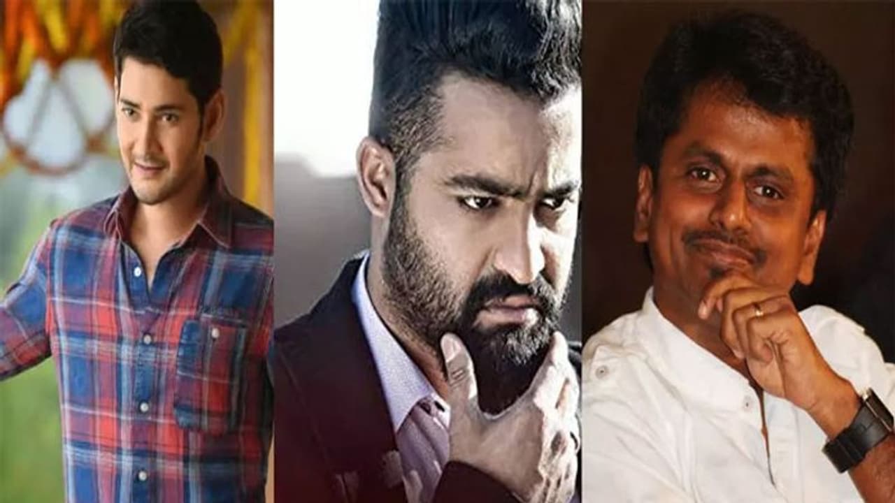 మహేష్ తో ఫ్లాప్ సినిమా తీసా.. ఎన్టీఆర్ కి కథ చెప్పా.. మురుగదాస్ కామెంట్స్! మహేష్ తో ఫ్లాప్ సినిమా తీసా.. ఎన్టీఆర్ కి కథ చెప్పా.. మురుగదాస్ కామెంట్స్!