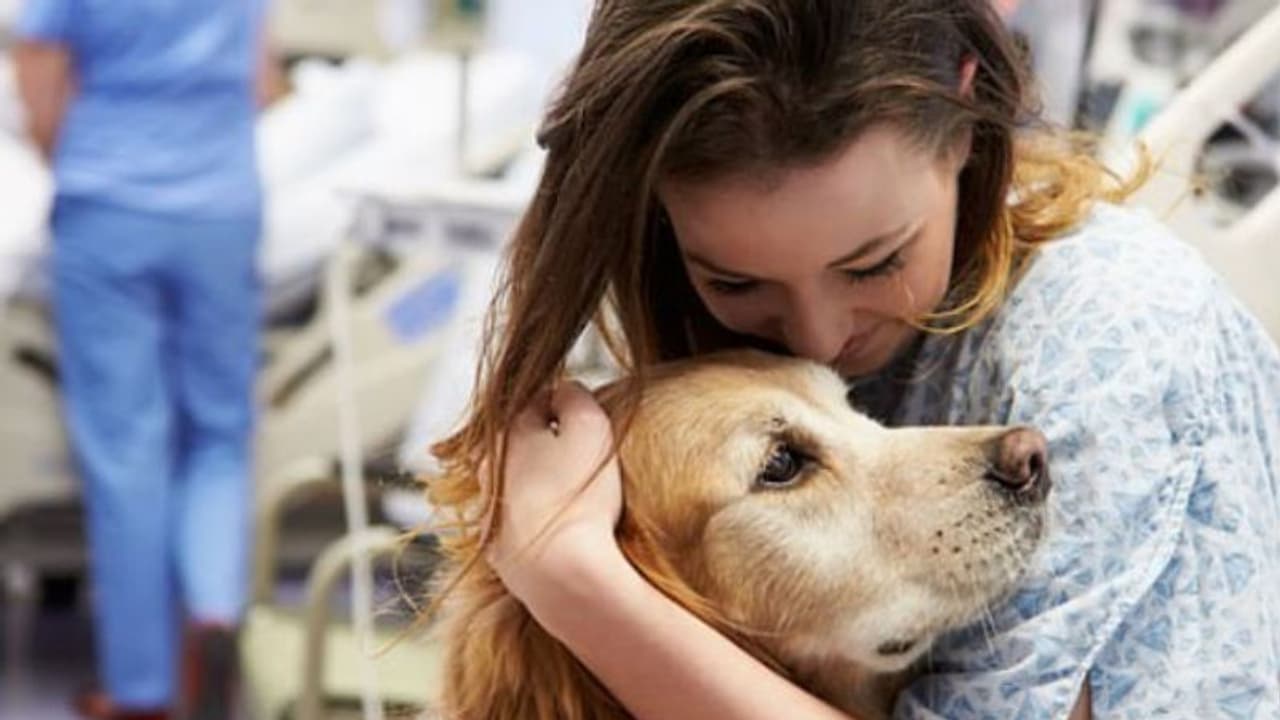 വീട്ടില് വളര്ത്തുപട്ടികളുണ്ടോ? എങ്കില് ഈ പഠനം പറയുന്നത് കേള്ക്കൂ... വീട്ടില് വളര്ത്തുപട്ടികളുണ്ടോ? എങ്കില് ഈ പഠനം പറയുന്നത് കേള്ക്കൂ...