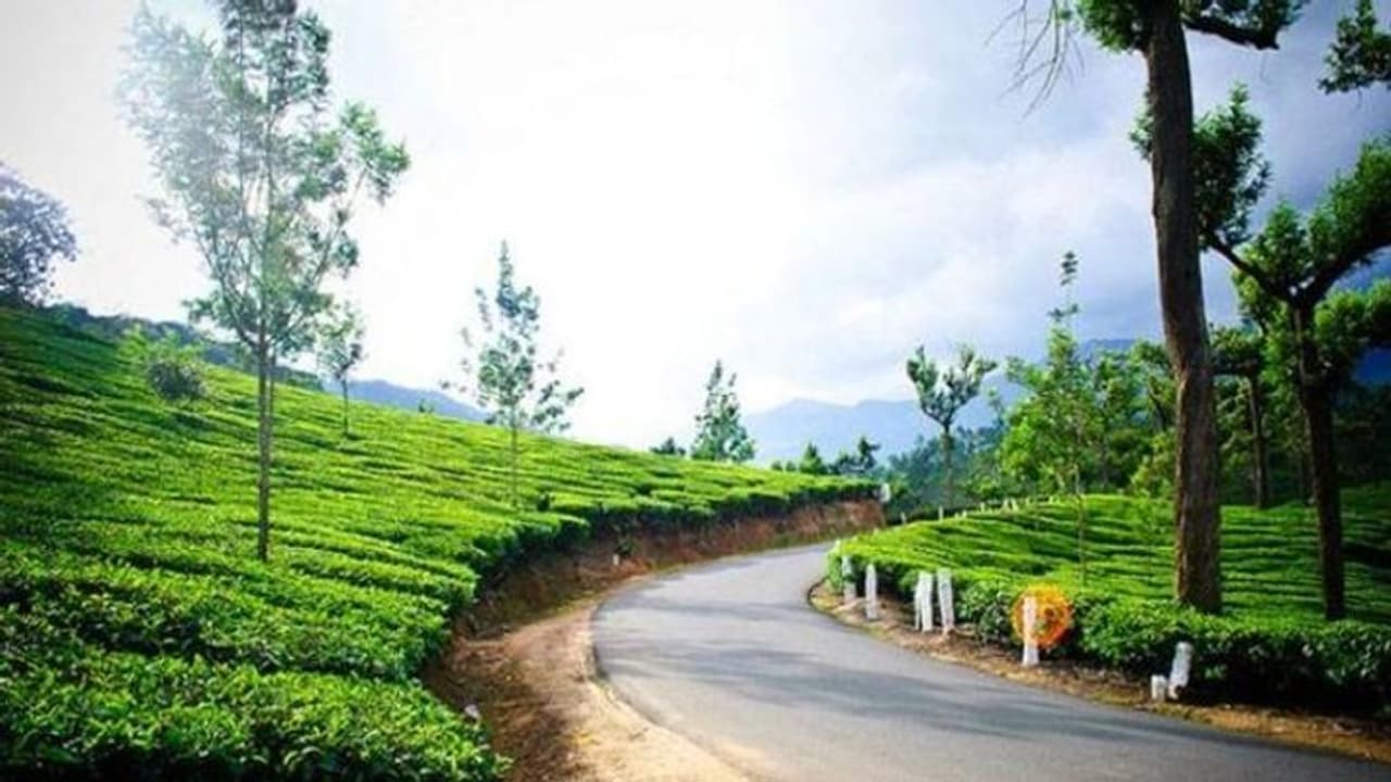 ജാഗ്രതയും പ്രതിരോധവും കൈവിടാതെ മൂന്നാര് ടൗണ് സജീവമായി; നിയന്ത്രണങ്ങളോടെ വാഹനങ്ങള് ഓടാന് അനുമതി ജാഗ്രതയും പ്രതിരോധവും കൈവിടാതെ മൂന്നാര് ടൗണ് സജീവമായി; നിയന്ത്രണങ്ങളോടെ വാഹനങ്ങള് ഓടാന് അനുമതി