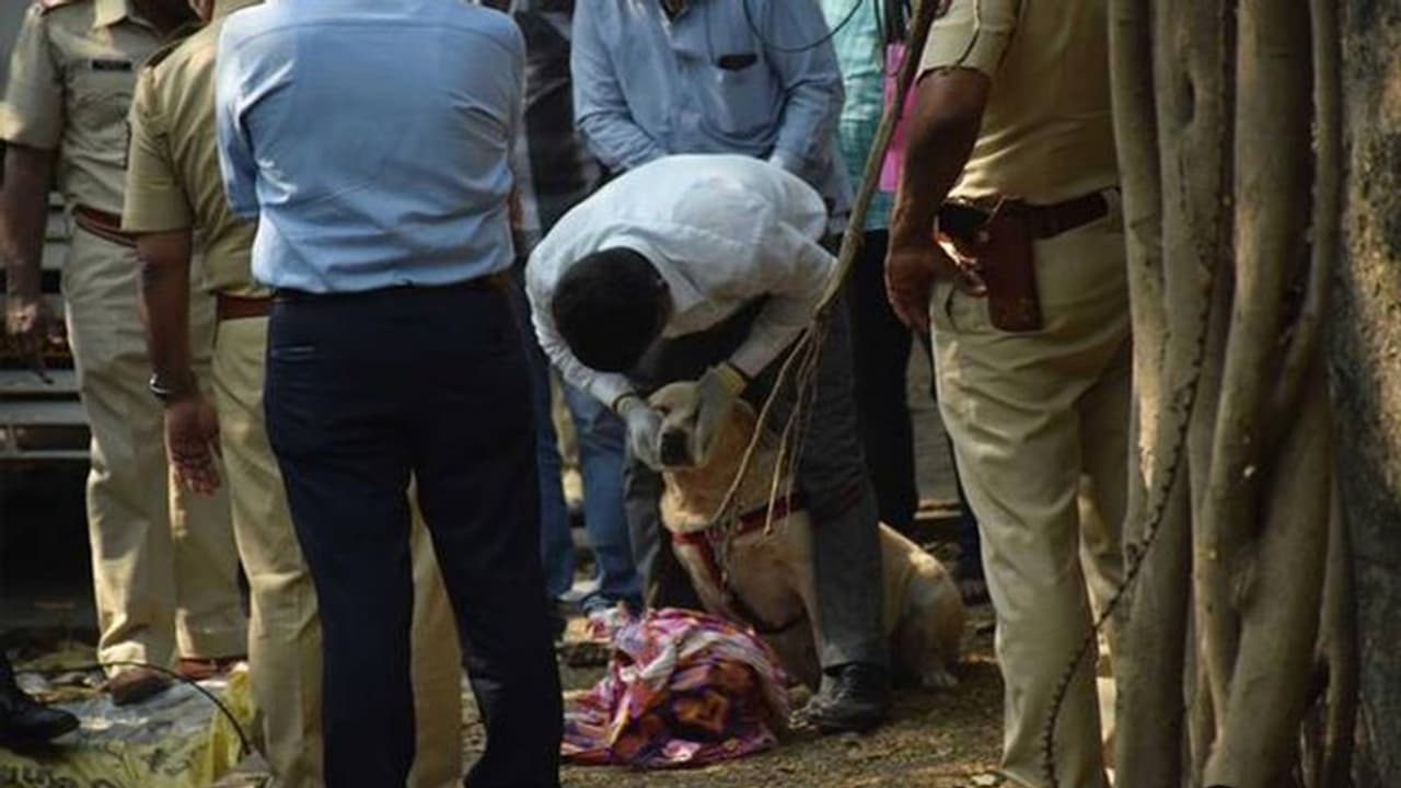 Brutal Murder : बेडशीट से निकल रहा था खून, खोलकर देखा तो पड़ी थी महिला की लाश, सिर और पैर था गायब Brutal Murder : बेडशीट से निकल रहा था खून, खोलकर देखा तो पड़ी थी महिला की लाश, सिर और पैर था गायब