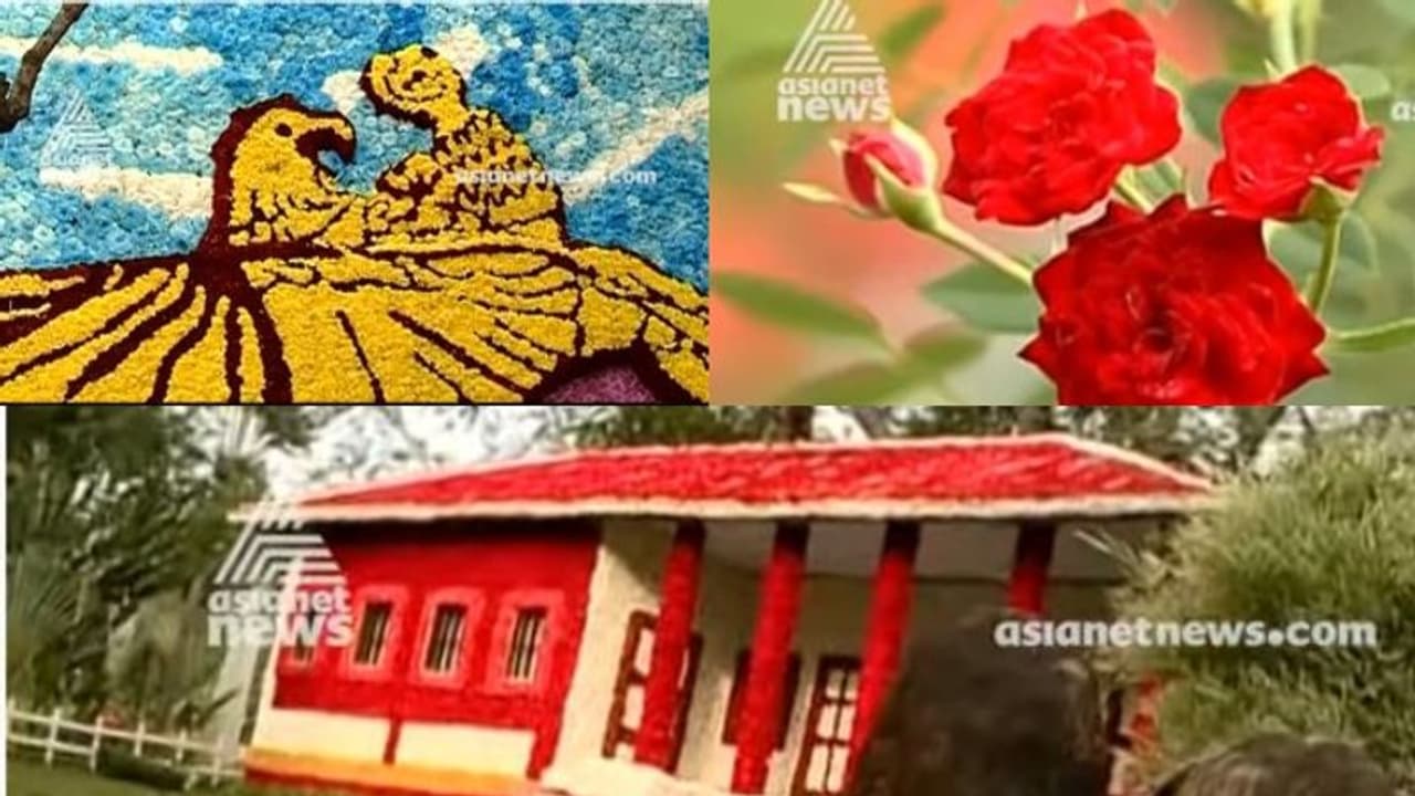 നക്ഷത്രച്ചെടികൾ കൊണ്ട് വനം, പഴശേഖരവും വളര്‍ത്തുമൃഗങ്ങളുമടക്കം ഏറെയുണ്ട് വസന്തോത്സവത്തില്‍