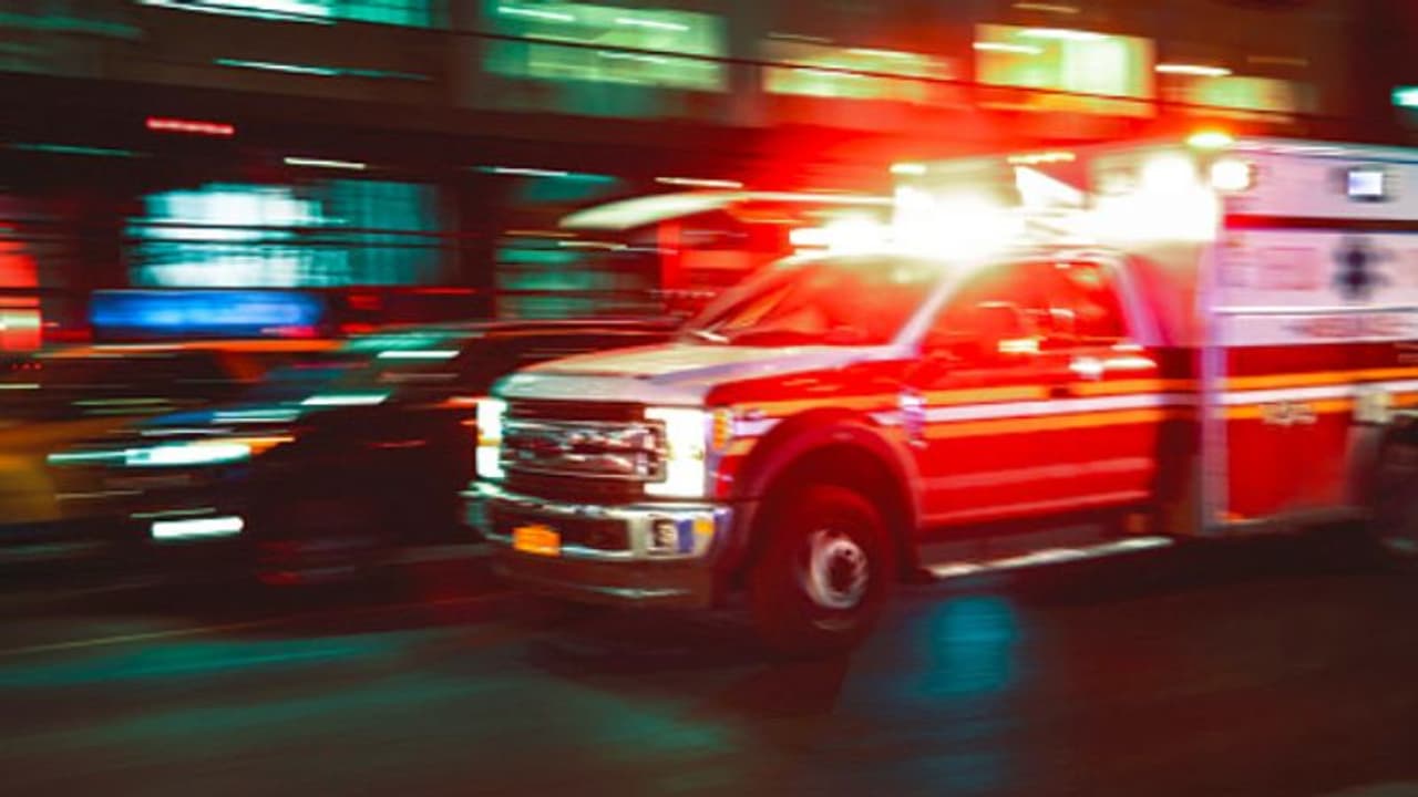 ಬೀದಿ ಪ್ರಾಣಿಗಳಿಗೆ ಆ್ಯಂಬ್ಯುಲೆನ್ಸ್‌ ಸೇವೆ ಆರಂಭ