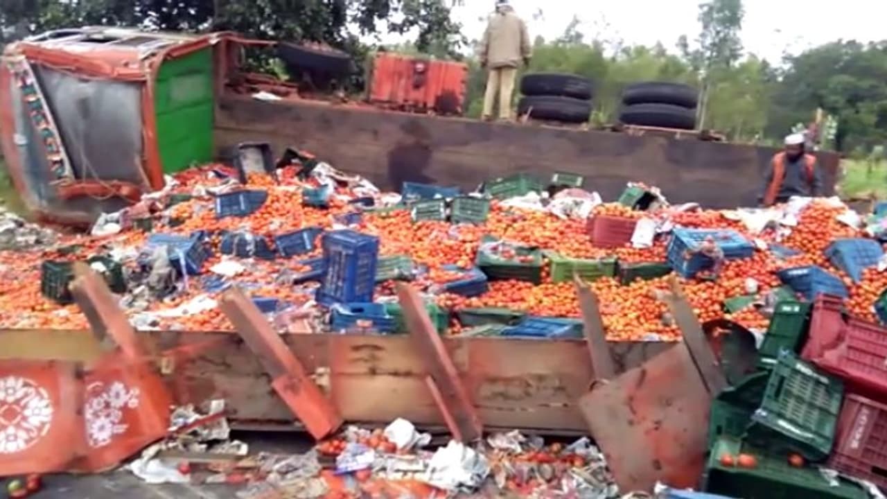 ಕೋಲಾರ: ಲಾರಿ ಪಲ್ಟಿ, ರಸ್ತೆಯಲ್ಲಿ ಚೆಲ್ಲಾಡಿದ ಲಕ್ಷಾಂತರ ಮೌಲ್ಯದ ಟೊಮೆಟೋ