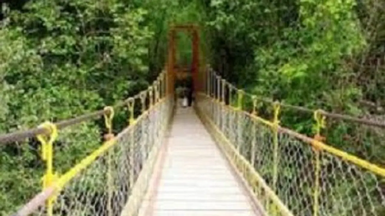 ಪ್ರವಾಹದಿಂದ ಹಾನಿ: 8 ವರ್ಷ ಹಳೆಯ ತೂಗು ಸೇತುವೆ ದುರಸ್ತಿಗೆ ಆಗ್ರಹ ಪ್ರವಾಹದಿಂದ ಹಾನಿ: 8 ವರ್ಷ ಹಳೆಯ ತೂಗು ಸೇತುವೆ ದುರಸ್ತಿಗೆ ಆಗ್ರಹ