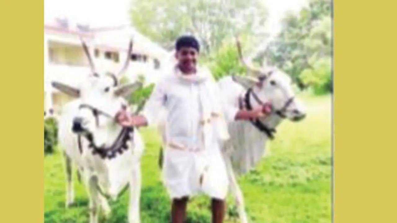 ಅಣಕಿಸಿದ್ದೆ ನಿಜವಾಯ್ತು : ಕೃಷಿಕ ದಂಪತಿಯ ಪುತ್ರನೀಗ KAS ಅಧಿಕಾರಿ