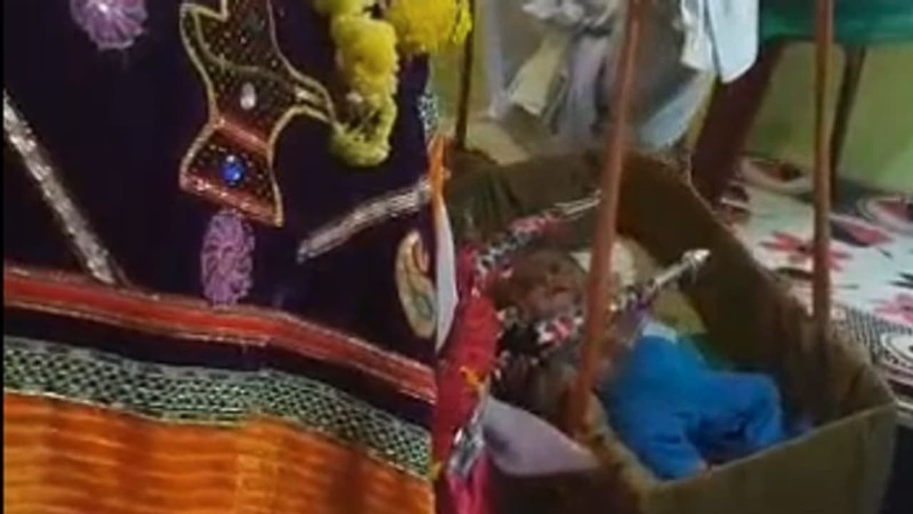 ಕೊಂಬಿನಿಂದಲೇ ತೊಟ್ಟಿಲು ತೂಗಿ ಮಗು ಮಲಗಿಸಿದ ಬಸವ ಕೊಂಬಿನಿಂದಲೇ ತೊಟ್ಟಿಲು ತೂಗಿ ಮಗು ಮಲಗಿಸಿದ ಬಸವ