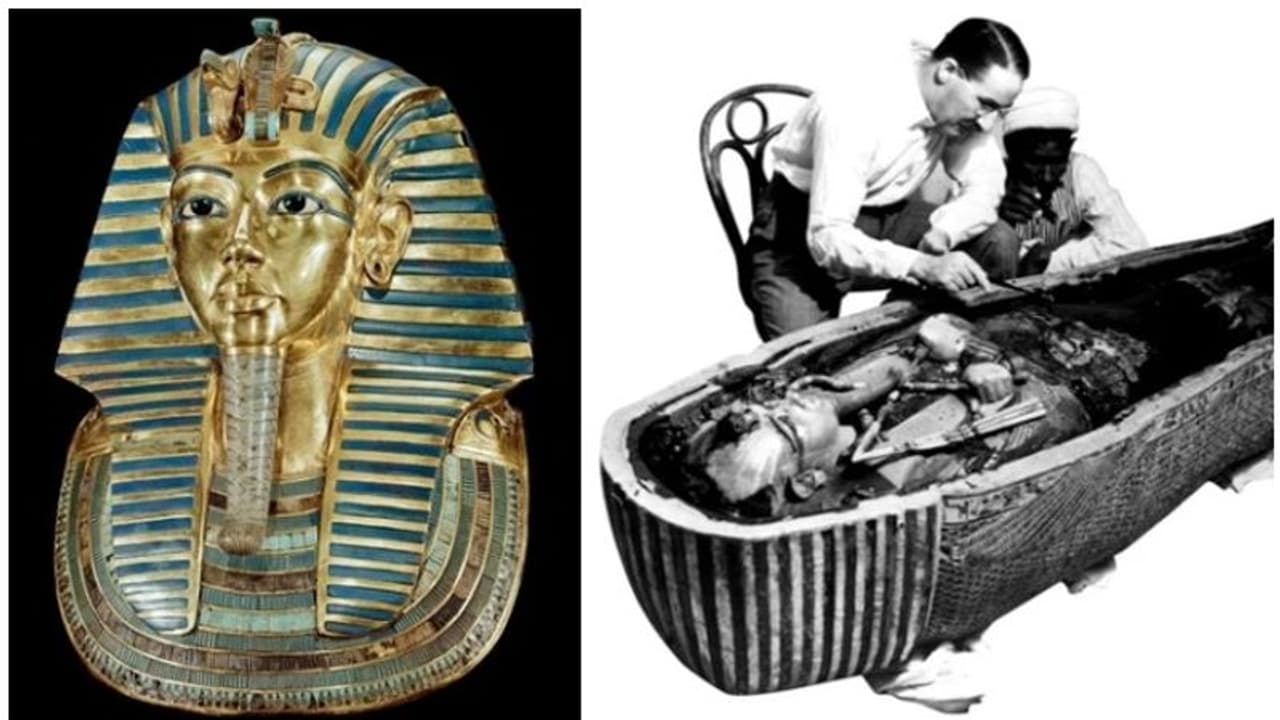 ആ 'ശപിക്കപ്പെട്ട മമ്മി', മമ്മിയെ തൊട്ടവരെ പിന്തുടരുന്നത് ആജീവനാന്തശാപവും മരണവും, സത്യമെന്ത്? ആ 'ശപിക്കപ്പെട്ട മമ്മി', മമ്മിയെ തൊട്ടവരെ പിന്തുടരുന്നത് ആജീവനാന്തശാപവും മരണവും, സത്യമെന്ത്?