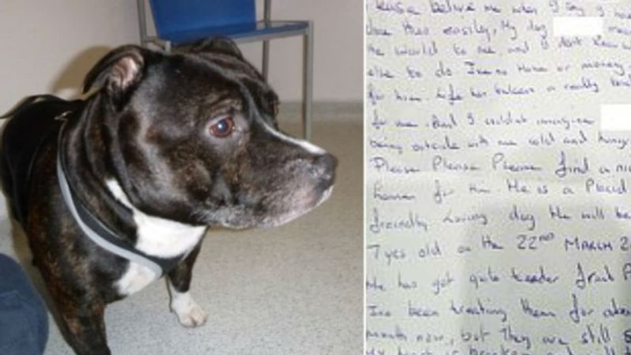 ഉപേക്ഷിക്കപ്പെട്ട പട്ടിക്കുട്ടിയും കൂടെ ചങ്ക് പൊള്ളിക്കുന്നൊരു കത്തും!