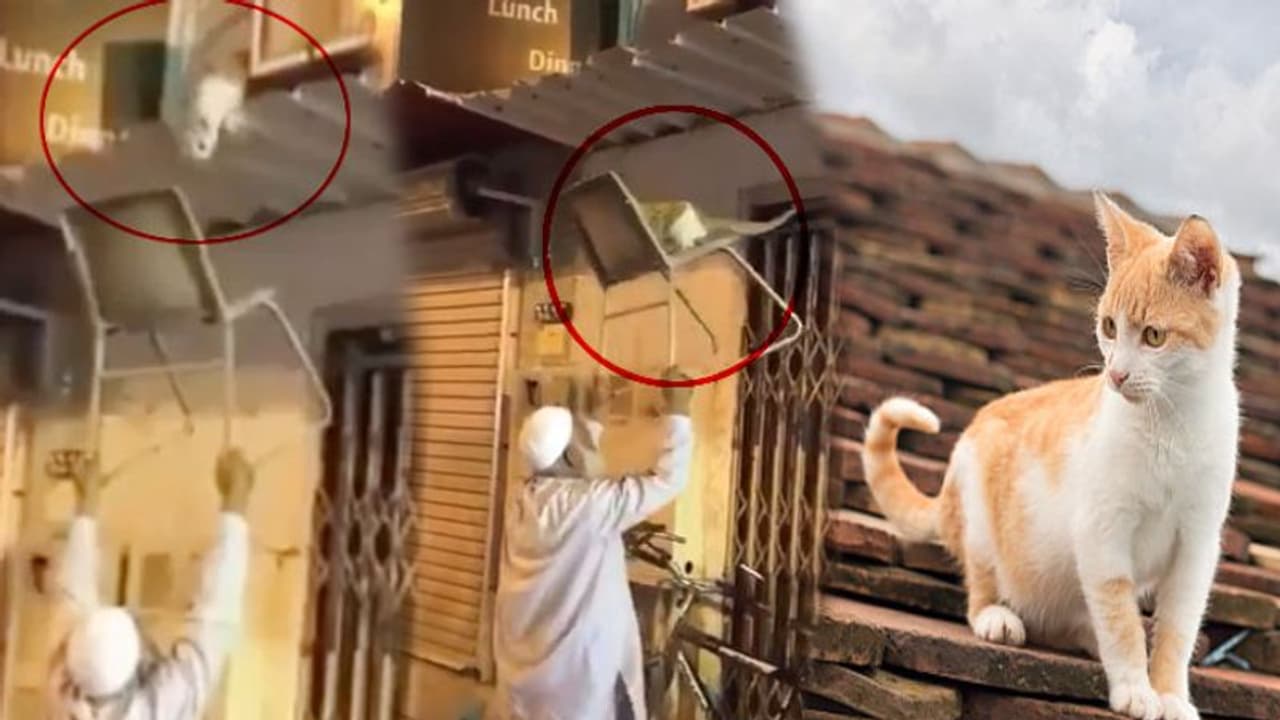 మానవత్వం మెరిసింది.. ఆయన సహాయం అందరి హృదయాలను గెలిచింది! మానవత్వం మెరిసింది.. ఆయన సహాయం అందరి హృదయాలను గెలిచింది!