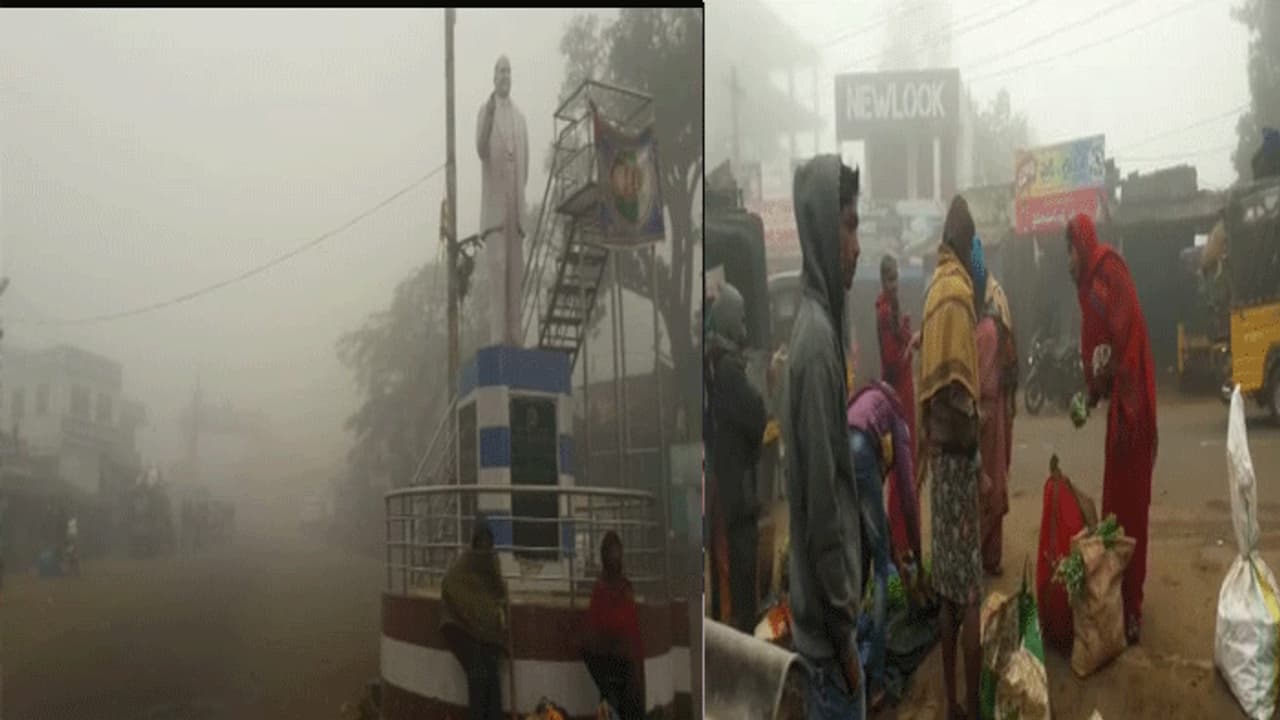 పాడేరుని కమ్మేసిన పొగ మంచు