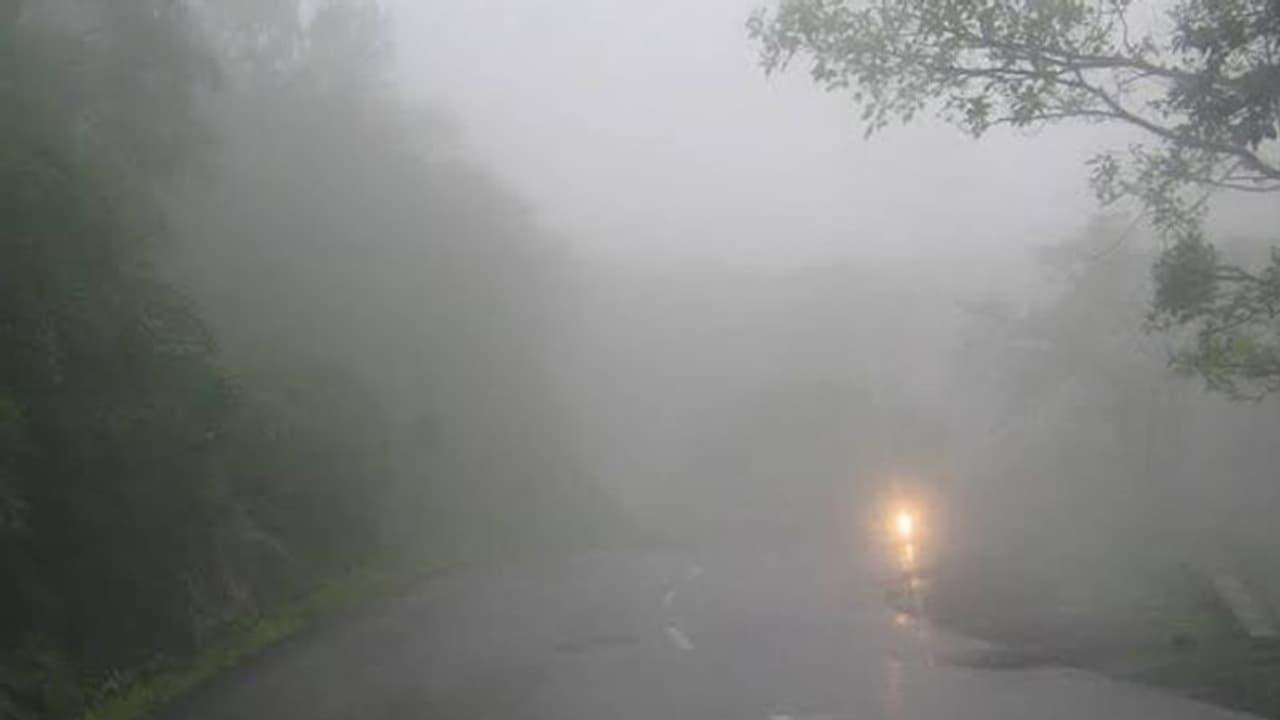 ಸುಂದರ ಶಿರಾಡಿ ಘಾಟಿಯಲ್ಲಿ ಸಂಚರಿಸುವಾಗ ಎಚ್ಚರ! ನಿಂತಲ್ಲೇ ನಿಂತಿವೆ ವಾಹನ ಸುಂದರ ಶಿರಾಡಿ ಘಾಟಿಯಲ್ಲಿ ಸಂಚರಿಸುವಾಗ ಎಚ್ಚರ! ನಿಂತಲ್ಲೇ ನಿಂತಿವೆ ವಾಹನ