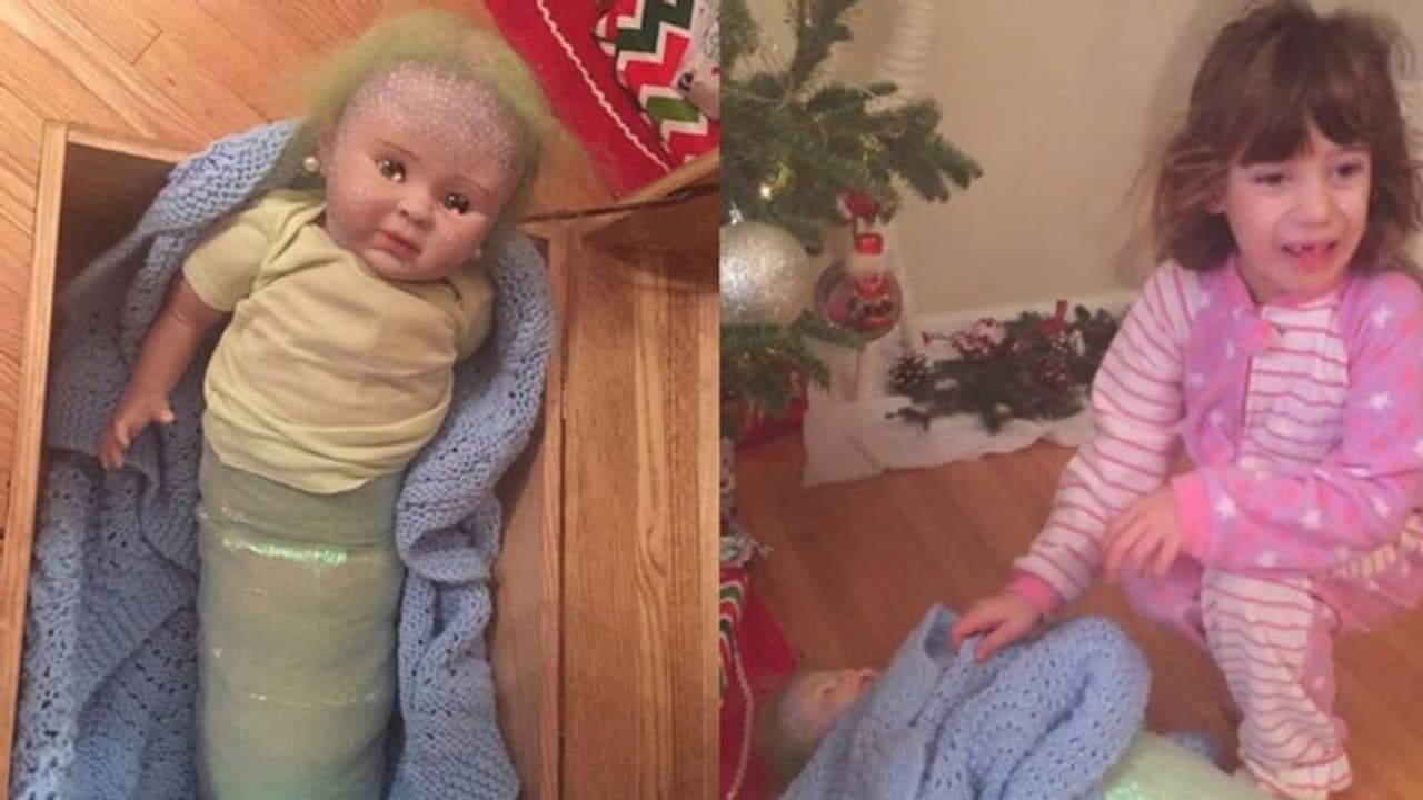 പച്ചത്തലമുടി, തുറിച്ച് നോട്ടം, കണ്ടാൽ വിചിത്രജീവി; പാവക്കുട്ടിയുടെ ഉള്ളിലുള്ള വസ്തു കണ്ട് ഞെട്ടി