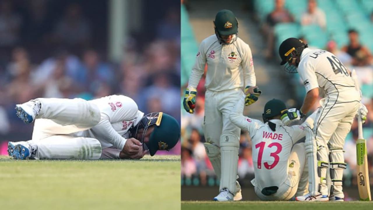 மேத்யூ வேடுக்கு செம அடி.. நல்ல வேளையா எதுவும் ஆகல.. பார்ப்பவர்களையே பதறவைக்கும் பயங்கரமான சம்பவம்.. வீடியோ மேத்யூ வேடுக்கு செம அடி.. நல்ல வேளையா எதுவும் ஆகல.. பார்ப்பவர்களையே பதறவைக்கும் பயங்கரமான சம்பவம்.. வீடியோ