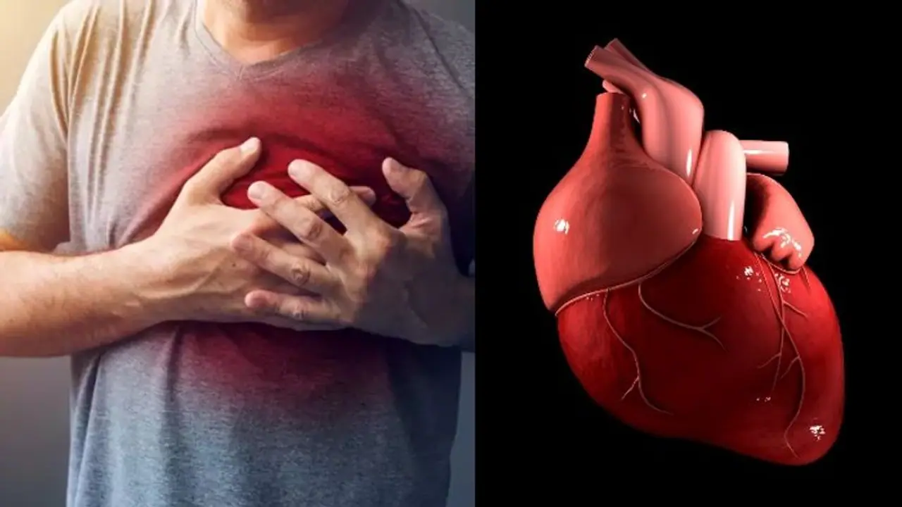 ഹൃദയത്തെ സംരക്ഷിക്കാന് അറിയേണ്ടതും ചെയ്യേണ്ടതും... ഹൃദയത്തെ സംരക്ഷിക്കാന് അറിയേണ്ടതും ചെയ്യേണ്ടതും...