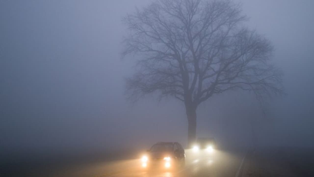 কুয়াশায় গাড়ি চালানোর সময়, সুরক্ষিত থাকতে মনে রাখুন এই নিয়মগুলি
