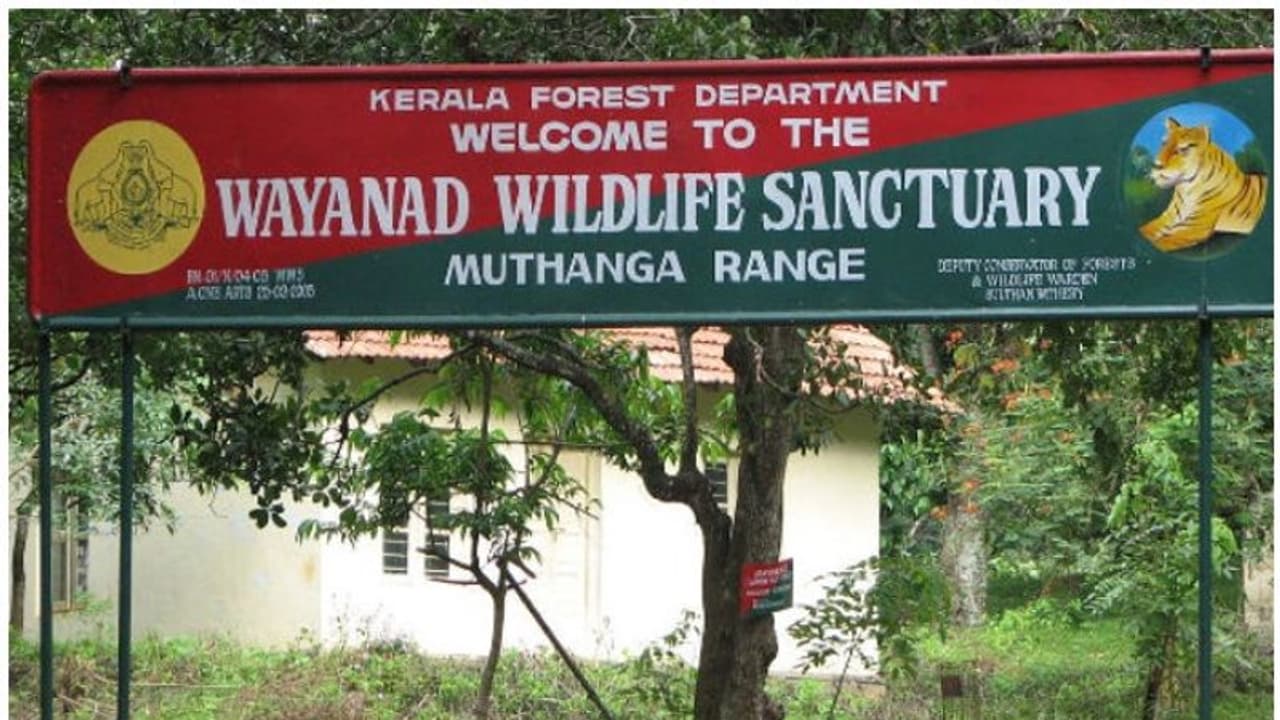 മുത്തങ്ങ വന്യജീവി സങ്കേതത്തില് വാഹനങ്ങള് നിര്ത്തിയിടുന്നതിന് നിരോധനം മുത്തങ്ങ വന്യജീവി സങ്കേതത്തില് വാഹനങ്ങള് നിര്ത്തിയിടുന്നതിന് നിരോധനം