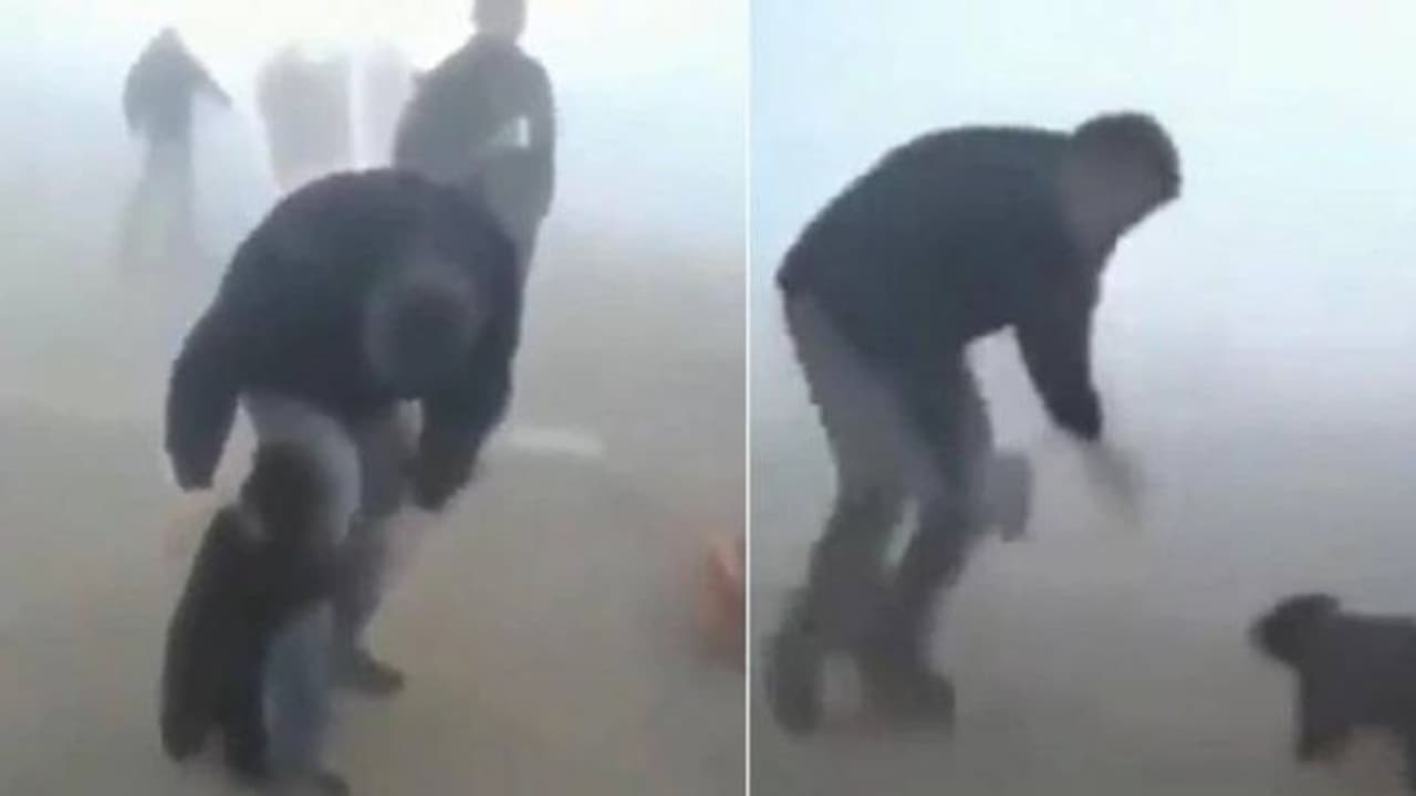 തന്നെ രക്ഷിച്ച മനുഷ്യന്റെ കാലില്നിന്നും പിടിവിടാതെ കുട്ടിക്കരടി, കണ്ണുനനയിക്കുന്ന വീഡിയോ തന്നെ രക്ഷിച്ച മനുഷ്യന്റെ കാലില്നിന്നും പിടിവിടാതെ കുട്ടിക്കരടി, കണ്ണുനനയിക്കുന്ന വീഡിയോ