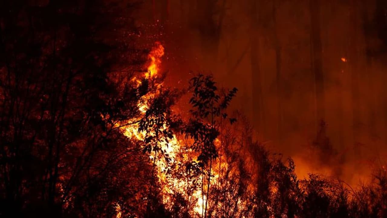 ಆಸ್ಪ್ರೇಲಿಯಾ ಕಾಳ್ಗಿಚ್ಚು ಜಗತ್ತಿಗೆ ಏಕೆ ಎಚ್ಚರಿಕೆ ಗಂಟೆ? ಆಸ್ಪ್ರೇಲಿಯಾ ಕಾಳ್ಗಿಚ್ಚು ಜಗತ್ತಿಗೆ ಏಕೆ ಎಚ್ಚರಿಕೆ ಗಂಟೆ?