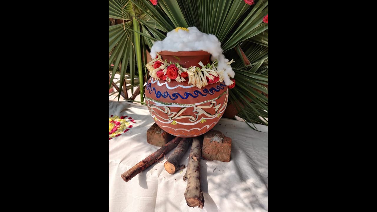 Pongal 2020: Bhogi marks beginning as four day festival kicks in Pongal 2020: Bhogi marks beginning as four day festival kicks in