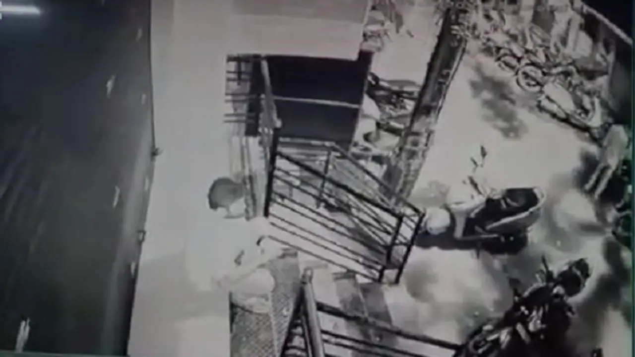 ಅನ್ನ ಕೊಟ್ಟ ಯಜಮಾನನ ಮುಗಿಸಲು ನಿಂಬೆಹಣ್ಣು ಮಾಟ ಮಂತ್ರ, ದೊಡ್ಡ ಹಿಸ್ಟರಿಯೇ ಇದೆ! ಅನ್ನ ಕೊಟ್ಟ ಯಜಮಾನನ ಮುಗಿಸಲು ನಿಂಬೆಹಣ್ಣು ಮಾಟ ಮಂತ್ರ, ದೊಡ್ಡ ಹಿಸ್ಟರಿಯೇ ಇದೆ!