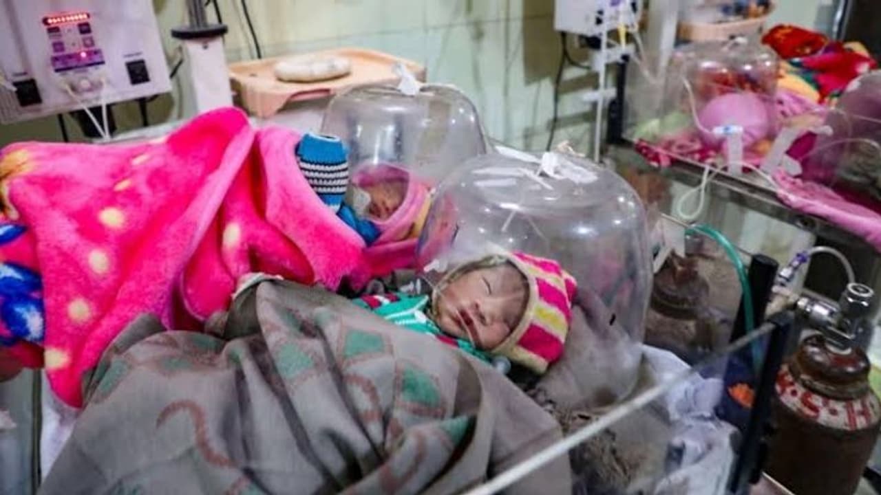 ராஜஸ்தான் மட்டுமல்ல..குஜராத்திலும் 100 க்கும் மேற்பட்ட பச்சிளங்குழந்தைகள் உயிரிழப்பு... ராஜஸ்தான் மட்டுமல்ல..குஜராத்திலும் 100 க்கும் மேற்பட்ட பச்சிளங்குழந்தைகள் உயிரிழப்பு...