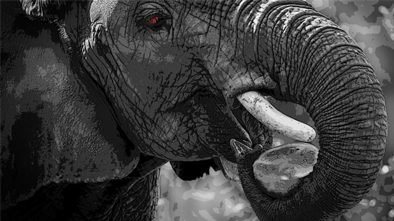 ഒടുവില് ആ 'നരഭോജി' ആനയെ തളച്ചതിങ്ങനെ! പിയര് ബക്സെന്ന കൊലകൊമ്പന്റെയും അവനെ തളച്ച പരുക്കനായ ഒരു വേട്ടക്കാരന്റെയും കഥ ഒടുവില് ആ 'നരഭോജി' ആനയെ തളച്ചതിങ്ങനെ! പിയര് ബക്സെന്ന കൊലകൊമ്പന്റെയും അവനെ തളച്ച പരുക്കനായ ഒരു വേട്ടക്കാരന്റെയും കഥ