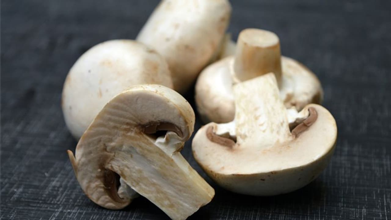 കൂണ് എളുപ്പത്തില് വളര്ത്താന് 'റെഡി ടു ഫ്രൂട്ട് 'ബാഗ്; ഇനി മുതല് ഓരോ വീട്ടിലും കൂണ്കൃഷി കൂണ് എളുപ്പത്തില് വളര്ത്താന് 'റെഡി ടു ഫ്രൂട്ട് 'ബാഗ്; ഇനി മുതല് ഓരോ വീട്ടിലും കൂണ്കൃഷി