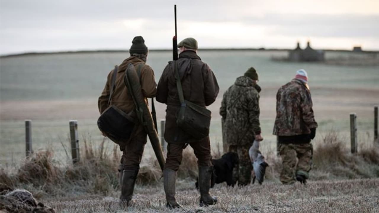 വിളകള് നശിപ്പിക്കുന്ന കാട്ടുതാറാവുകള്, വെടിവെച്ചിടാന് നിര്ദ്ദേശം നല്കി സര്ക്കാര്, നാട്ടിലാകെ കശാപ്പുശാലകള്... വിളകള് നശിപ്പിക്കുന്ന കാട്ടുതാറാവുകള്, വെടിവെച്ചിടാന് നിര്ദ്ദേശം നല്കി സര്ക്കാര്, നാട്ടിലാകെ കശാപ്പുശാലകള്...