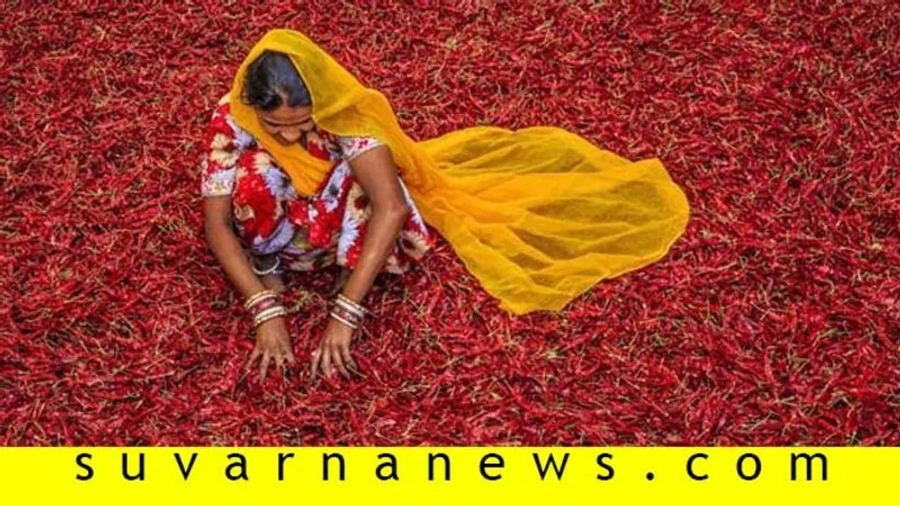 ಮೆಣಸಿನಕಾಯಿ ಖರೀದಿಸಿ 35 ಲಕ್ಷ ಪಂಗನಾಮ: ಕಂಗಾಲಾದ ವ್ಯಾಪಾರಿ