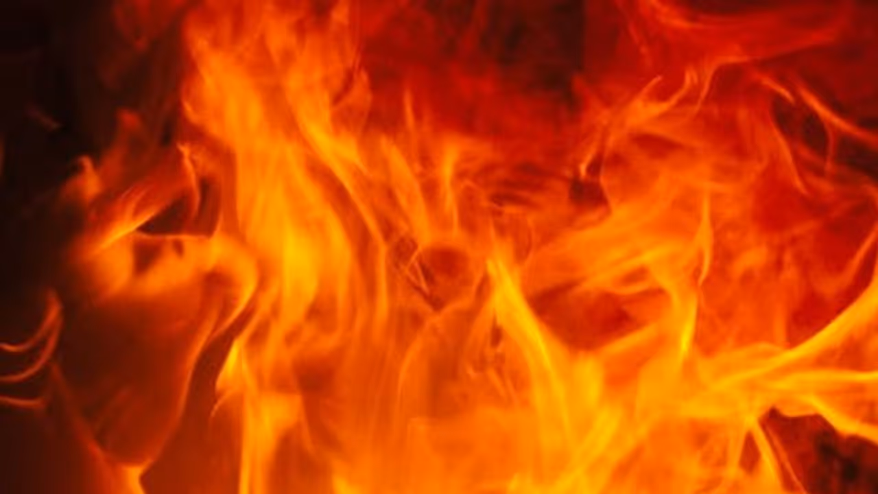 மாட்டுக்கொட்டகையில் பயங்கர தீ விபத்து..! 40 பசுமாடுகள் உடல்கருகி பலி..! மாட்டுக்கொட்டகையில் பயங்கர தீ விபத்து..! 40 பசுமாடுகள் உடல்கருகி பலி..!