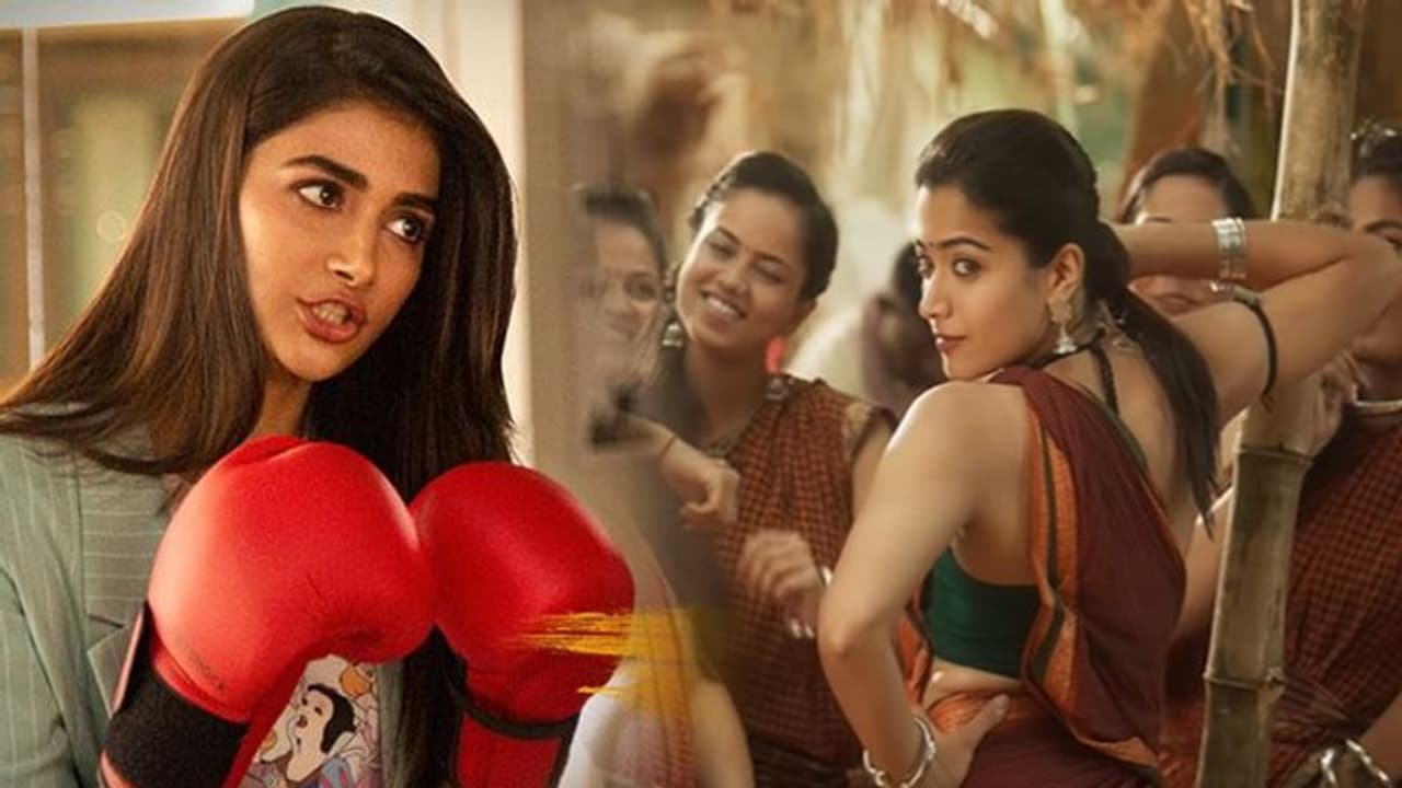 పూజా vs రష్మిక.. సంక్రాంతి పోరులో అందాల కోడిపెట్టలు పూజా vs రష్మిక.. సంక్రాంతి పోరులో అందాల కోడిపెట్టలు