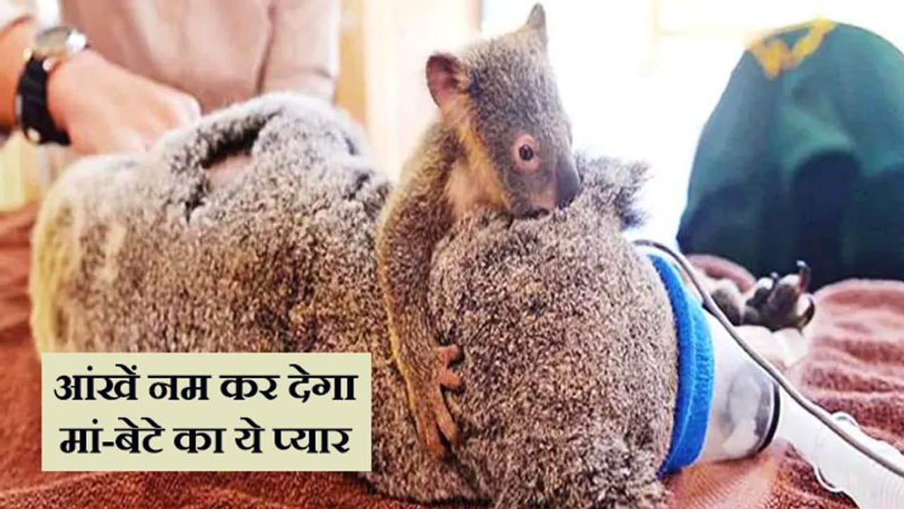 बच्चे को बचाने के दौरान जल गई मां, ऑपरेशन के दौरान यूं सीने से चिपका रहा बच्चा बच्चे को बचाने के दौरान जल गई मां, ऑपरेशन के दौरान यूं सीने से चिपका रहा बच्चा