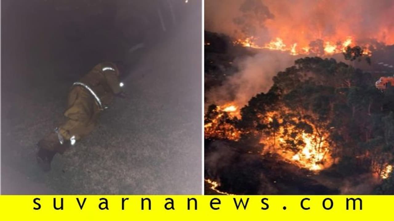 ಫೈರ್ ಫೈಟರ್ ಅಪ್ಪನ ಫೋಟೋ ಶೇರ್ ಮಾಡಿದ ಮಗಳು: ನೆಟ್ಟಿಗರು ಭಾವುಕ! ಫೈರ್ ಫೈಟರ್ ಅಪ್ಪನ ಫೋಟೋ ಶೇರ್ ಮಾಡಿದ ಮಗಳು: ನೆಟ್ಟಿಗರು ಭಾವುಕ!