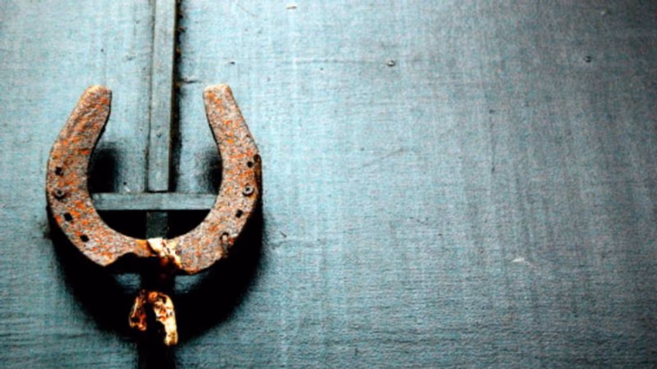 Astrological Tips: জ্যোতিষ মতে বাড়িতে ঘোড়ার খুর রাখা শুভ, জেনে নিন ঘোড়ার খুর রাখলে কী হয়