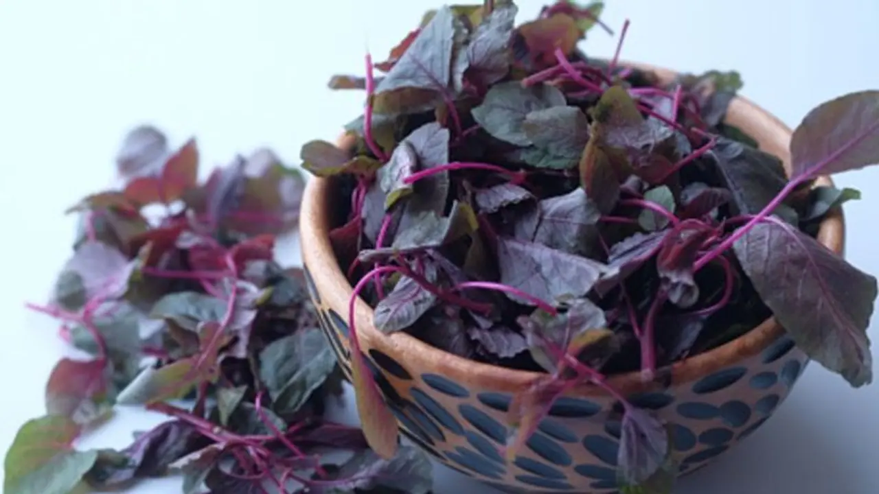 শীতে গরম ভাতে জমিয়ে খান লাল শাক, জেনে নিন এর ঔষধি গুণ শীতে গরম ভাতে জমিয়ে খান লাল শাক, জেনে নিন এর ঔষধি গুণ