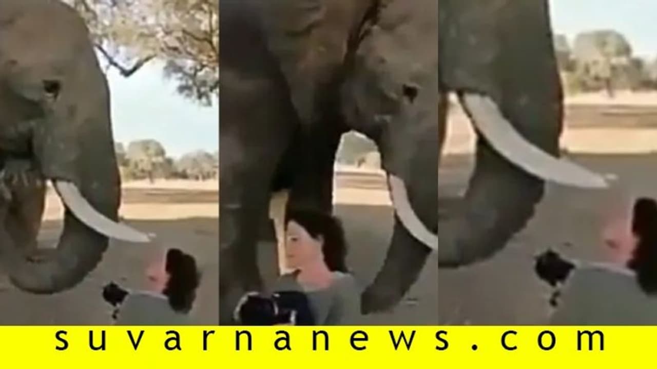 ಏಯ್ ಹೋಗತ್ಲಾಗೆ...: ಫೋಟೋ ಕ್ಲಿಕ್ ಮಾಡಿದವಳನ್ನು ತಳ್ಳಿ ಹಾಕಿದ ಆನೆ! ಏಯ್ ಹೋಗತ್ಲಾಗೆ...: ಫೋಟೋ ಕ್ಲಿಕ್ ಮಾಡಿದವಳನ್ನು ತಳ್ಳಿ ಹಾಕಿದ ಆನೆ!