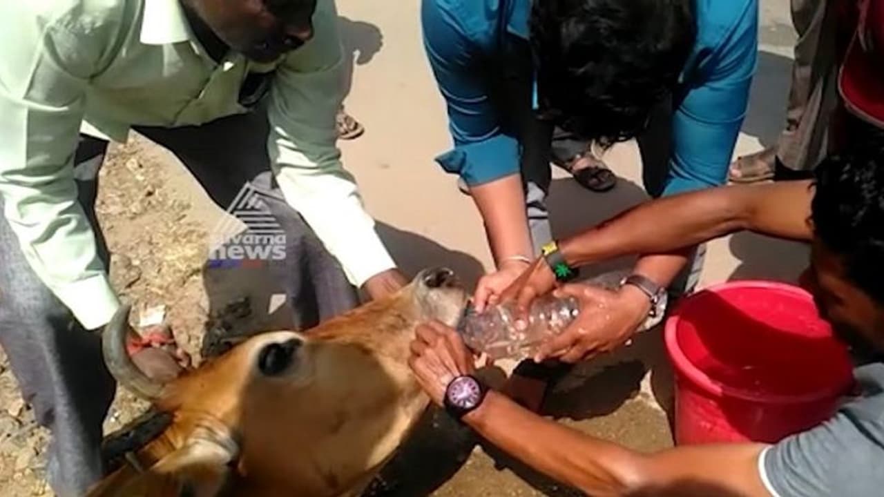 ಗೋಮಾತೆ ರಕ್ಷಣೆಗೆ ಧಾವಿಸಿ ಮಾನವೀಯತೆ ಮೆರೆದ ಸಾರ್ವಜನಿಕರು..!