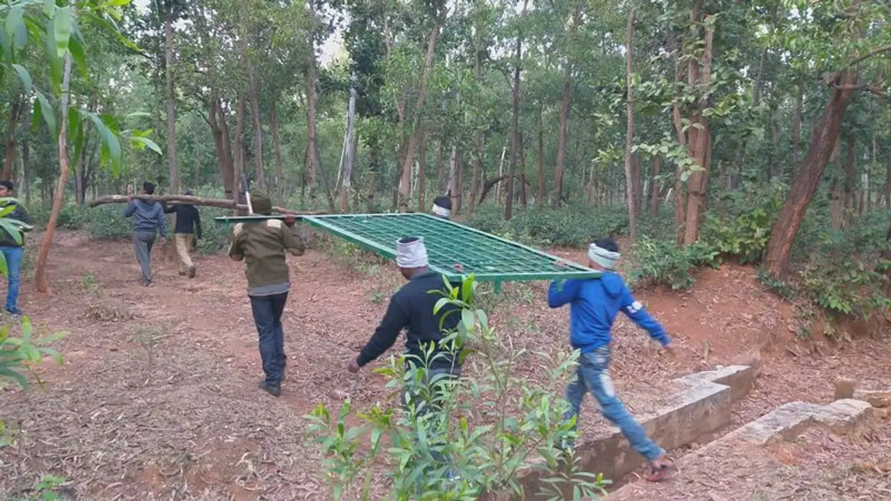 খাঁচা থাকলেও দেখা নেই বাঘমামার, আতঙ্কে কাঁপছে বেলপাহাড়ি