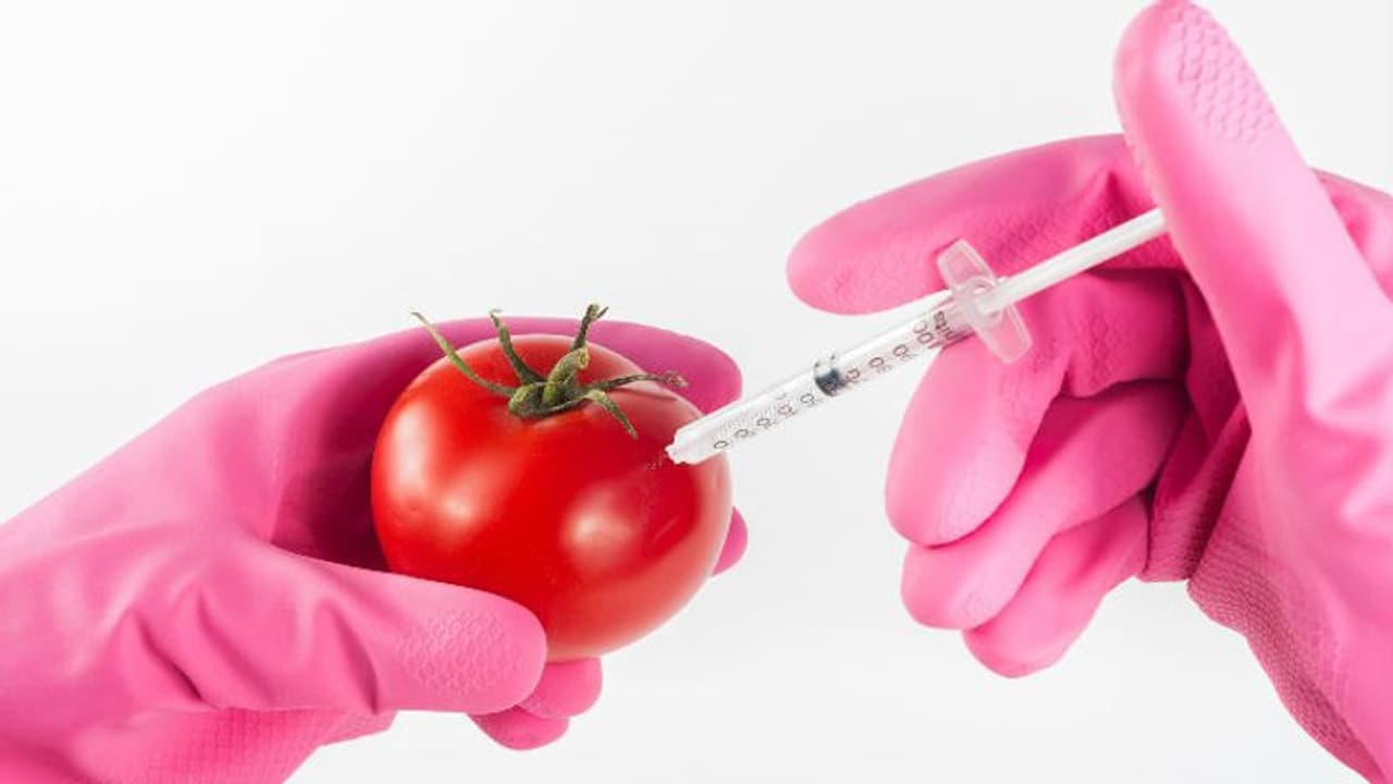 ജനിതക മാറ്റം വരുത്തിയ വിളകള് കര്ഷകര്ക്ക് ലാഭമോ നഷ്ടമോ? ജനിതക മാറ്റം വരുത്തിയ വിളകള് കര്ഷകര്ക്ക് ലാഭമോ നഷ്ടമോ?